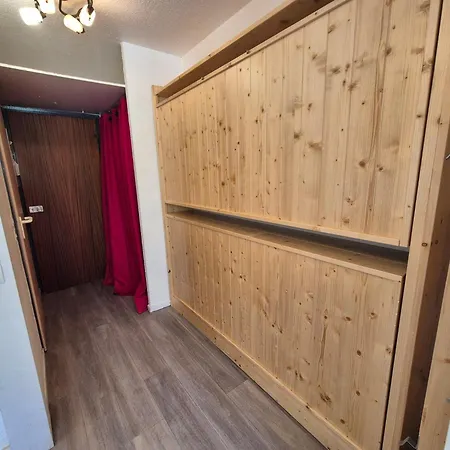 Lumineux Ski-aux-pieds Avec Balcon, Animaux Acceptes Appartement
